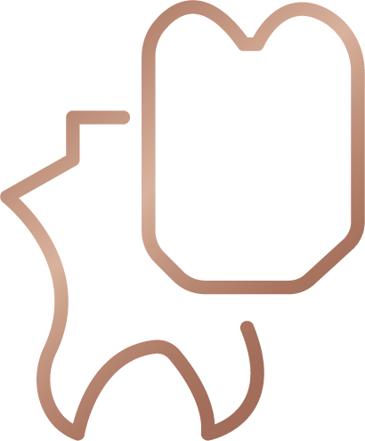 pictogramme d'une dent en réparation avec facette